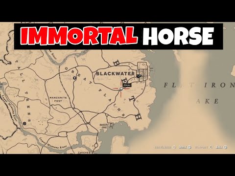 You'll Find This Horse Only Once In The Entire Game - RDR2