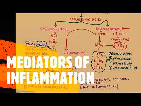 GENERAL PATHOLOGY II CHAPTER 3 II INFLAMMATION REPAIR II GENERAL ASPECTS OF INFLAMMATION II ROBBIN