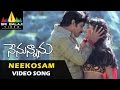 Nenunnanu Video Songs Neekosam Neekosam Video Song Nagarjuna Aarti Shriya Sri Balaji Video