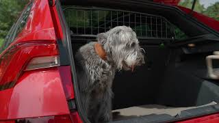 Škoda’s top tips for travelling with dogs