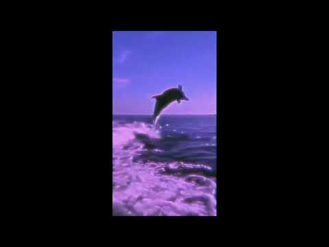 [FREE] Reezy x OMG x Yung Hurn Type Beat "Way too Long"