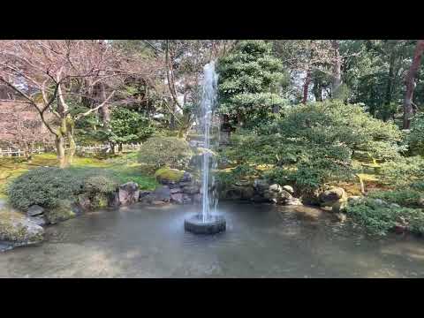 桜が咲き誇る兼六園・金沢城公園を散策