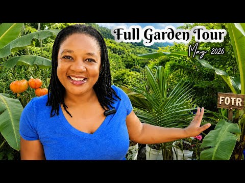 Full Garden Tour For May 2026! GROWING 99% Of Our Fresh Food In Containers
