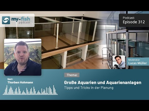 my-fish.org - Große Aquarien und Aquarienanlagen - Tipps und Tricks in der Planung (Thorben Hohmann)