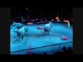 Ringling Brothers And Barnum Bailey Circus