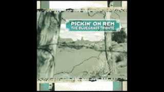 Me In Honey - Pickin on R.E.M.: The Bluegrass Tribute