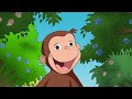 The Truth About Curious George