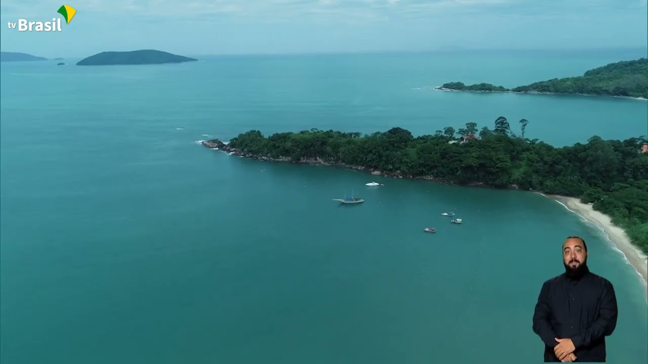 Mata Atlântica: a floresta mais antiga da América do Sul | Nossos Biomas