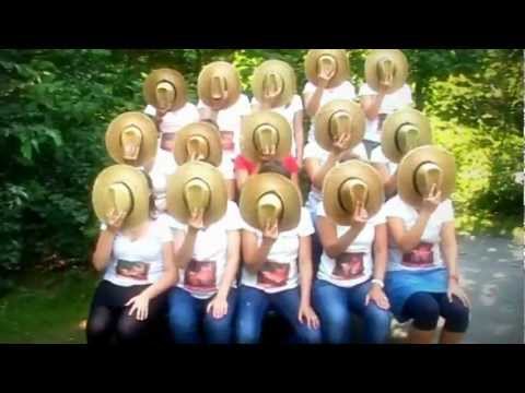 LIPDUB VRIJGEZELLEN MAJA 2012 (Don't stop me now - Queen)