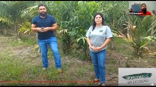 Miniatura do vídeo