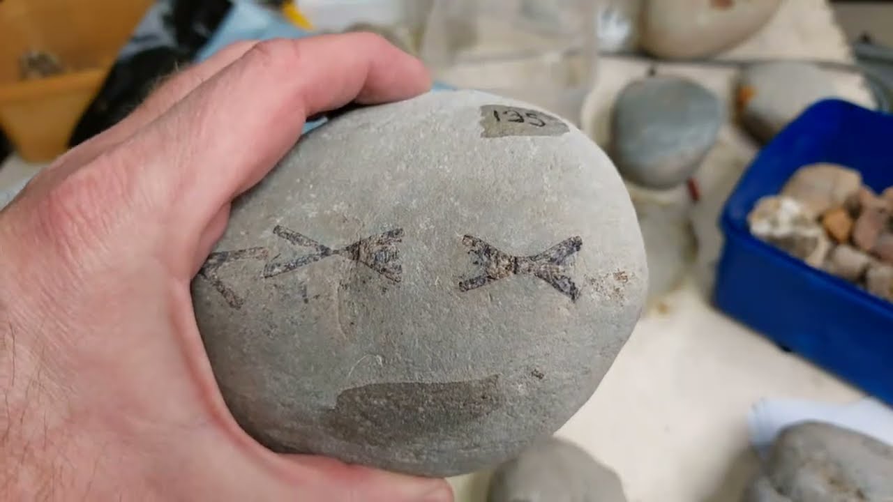 Mamlambo Fossils is live!