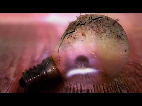 Cortes DcE #708 Desvendando Zé Pilintra e os Exilados Interplanetários