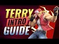 How To Get Good With Terry In Smash Ultimate