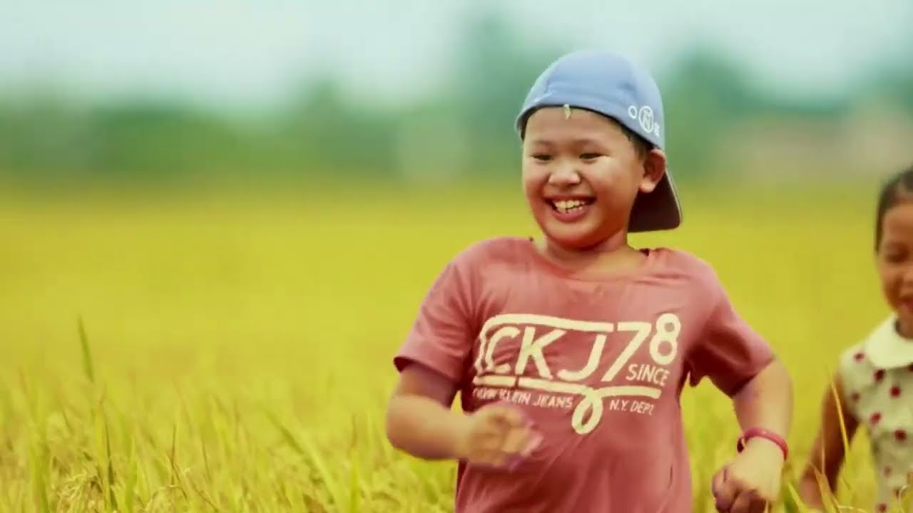 Video introducing Vietnam Organic Agriculture Association