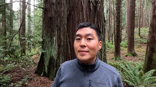 I've Been Trying To Unbrainwash Myself