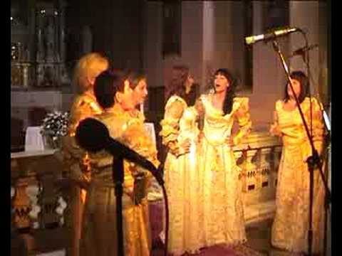 Klape Drivenik 2008 - Klapa Volta