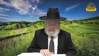 דף היומי בחצי שעה - קידושין דף ל"ג