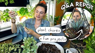 1.5 Hours(!!) of Fun Plant Chores 🌿 Repotting, Styling + Q&A