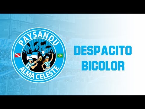 Banda Alma Celeste -  Despacito Bicolor [PRÉVIA | MÚSICA NOVA]