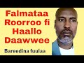 Falmataa Roorroo Haallo Daawwee Bareedina Fuulaa Album Gamtaa Side A