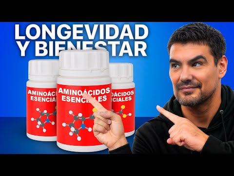 ⚡️Aminoácidos esenciales: guía completa 2025