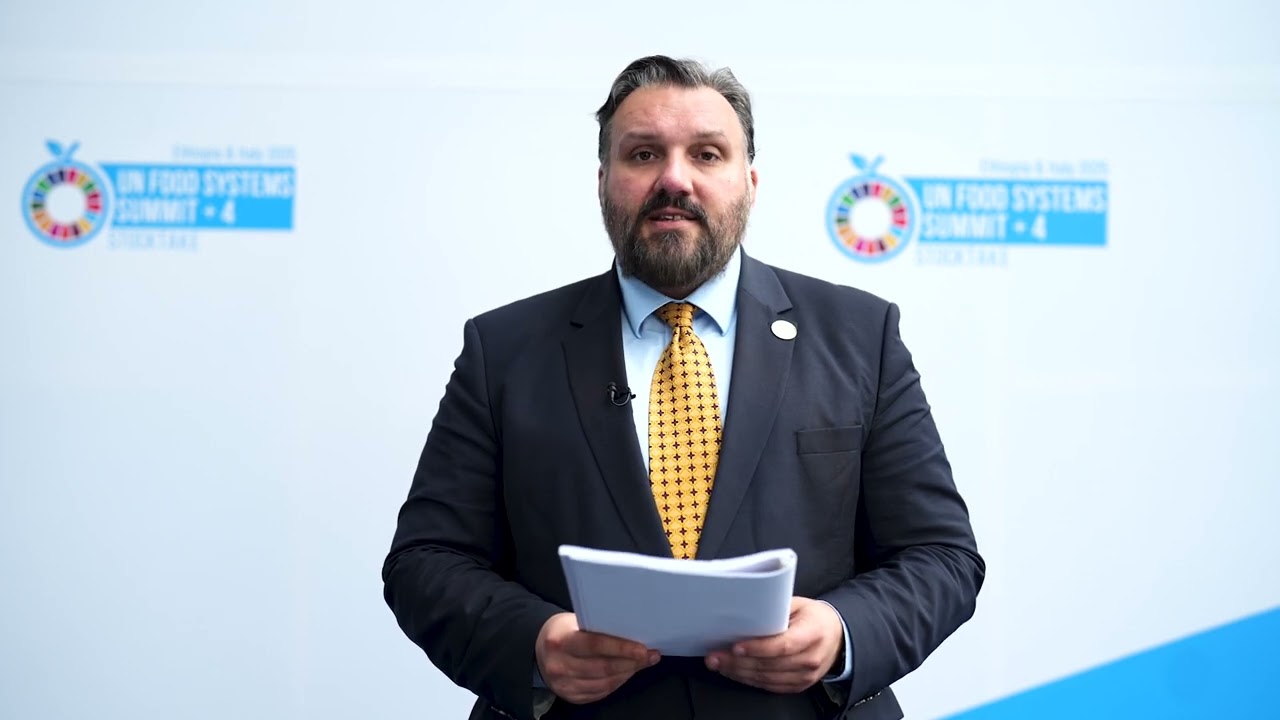 UNFSS+4 Member State Statement: Hungary