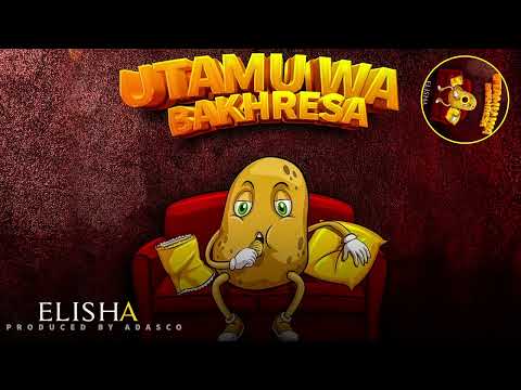 Dogo Elisha - Utamu wa Bakhresa (Official Audio Singeli)