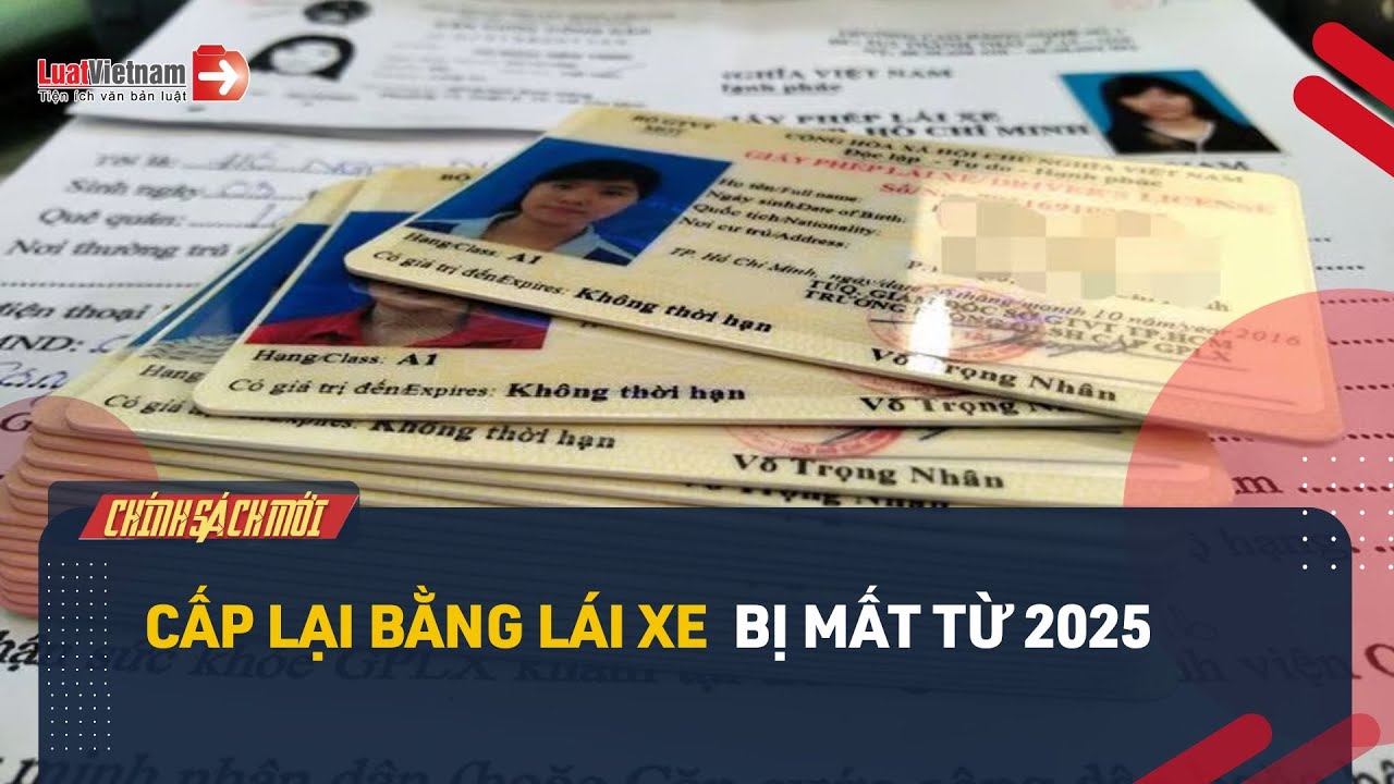 Từ Năm 2025, Cấp Lại Bằng Lái Xe Bị Mất Như Thế Nào? Cần Chuẩn Bị Hồ Sơ Gì?