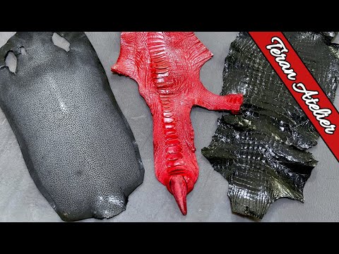 EXOTIC Leathers and How to Use Them in Leathercraft