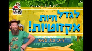 תכנית ג'ונגל בקופסה!!! לגדל חיות אקזוטיות בבית ולהפוך לחוקר טבע!