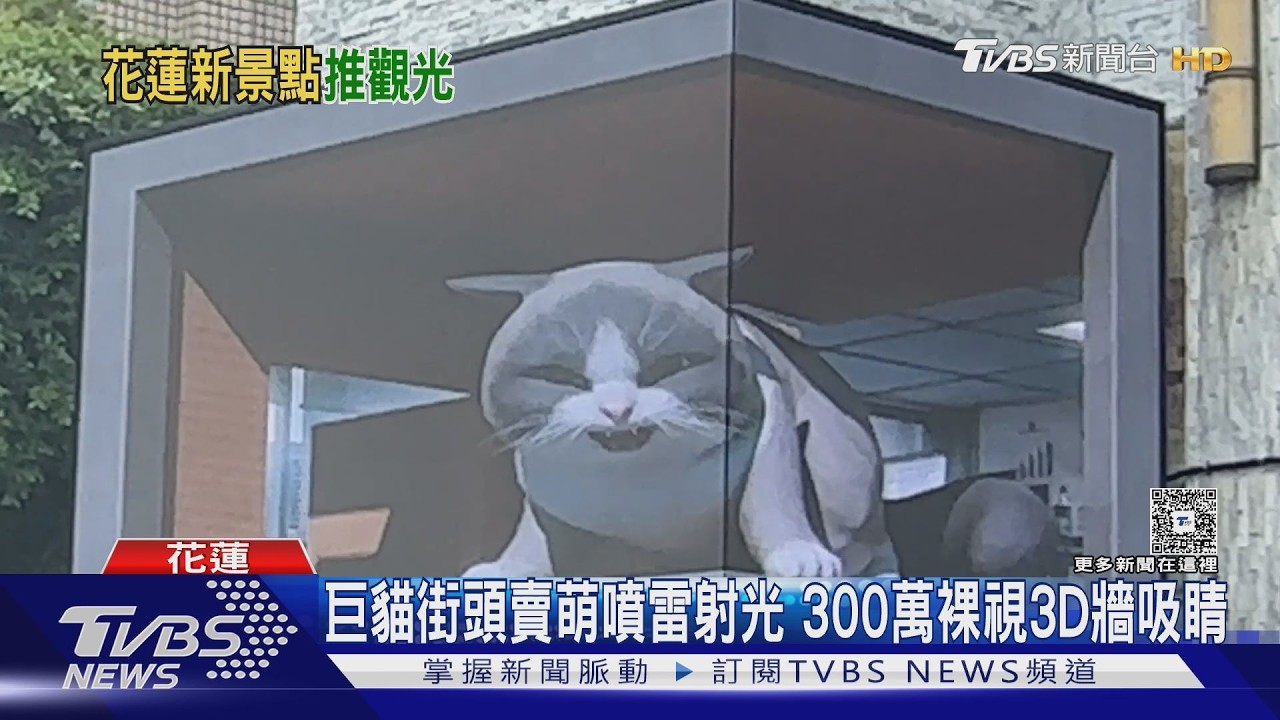 影音/巨型布偶貓「噴雷射甩烏龜」!花蓮市砸300萬打造3D電視牆吸睛