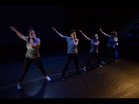 ilvs strauss - 2016 Risk/Reward Festival