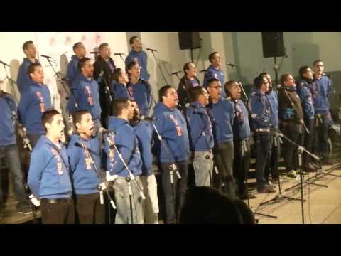 MURGA LOS TITI ROYS 2014