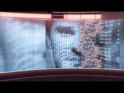 Videos Documentales Video