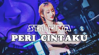 Download lagu My Love Fairy Remix Thailand Full Bass - DJ Selena mp3