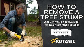 How to Remove a Tree Stump with a Kutzall Shaping Disc – No Heavy Equipment Needed!