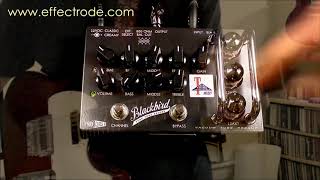 Video thumbnail for Blackbird Vacuum Tube Preamp by Effectrode
