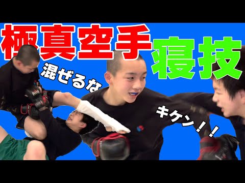 【混ぜるなキケン!?】極真空手×寝技【極めまくれ!!】