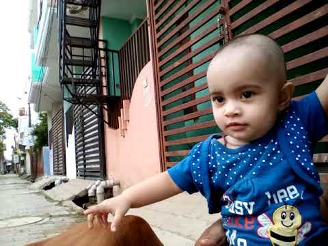 Insiya love animal's she tuch cow