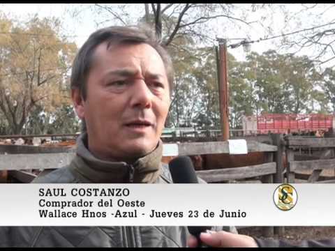 23-06-2016 Wallace Hnos - Azul - Nota Saul Costanzo (Comprador)