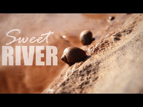 Manfredo - Sweet River