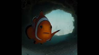 He Promised to Keep Him Safe… Then the Current Hit 🐠🌊 #nemo #disney #animation #clownfish