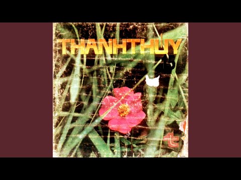 Hãy yêu chàng - Thái Thanh