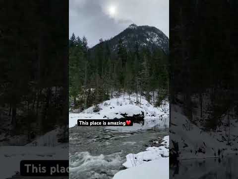 This place is so beautiful🏕️