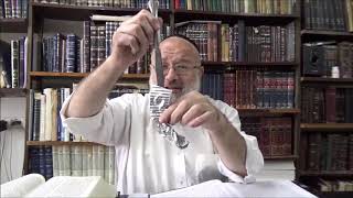 וורט על פרשת כי תבוא