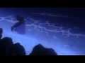 The Little Mermaid Vanessa On The Beach French Canadian