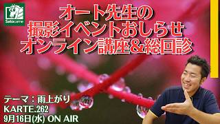 【写真講評】オート先生の総回診【KARTE.262】テーマ：雨上がり