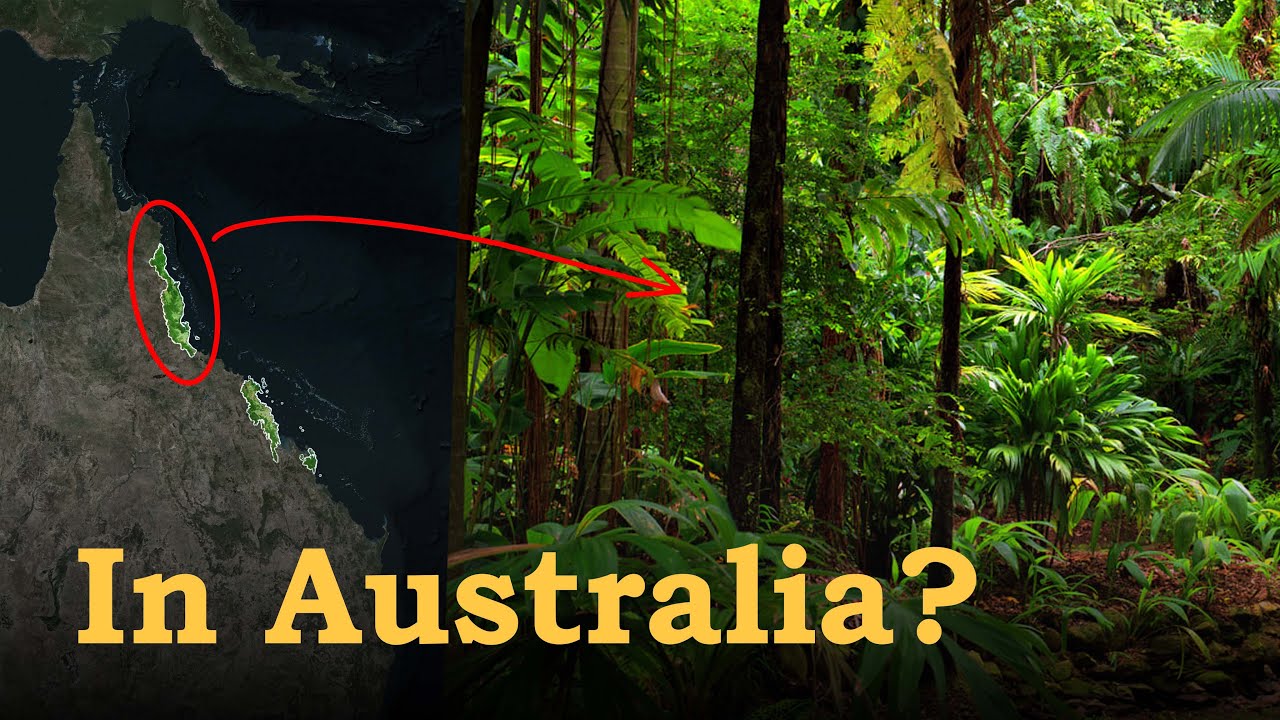 Where is the Oldest Rainforest in the World?