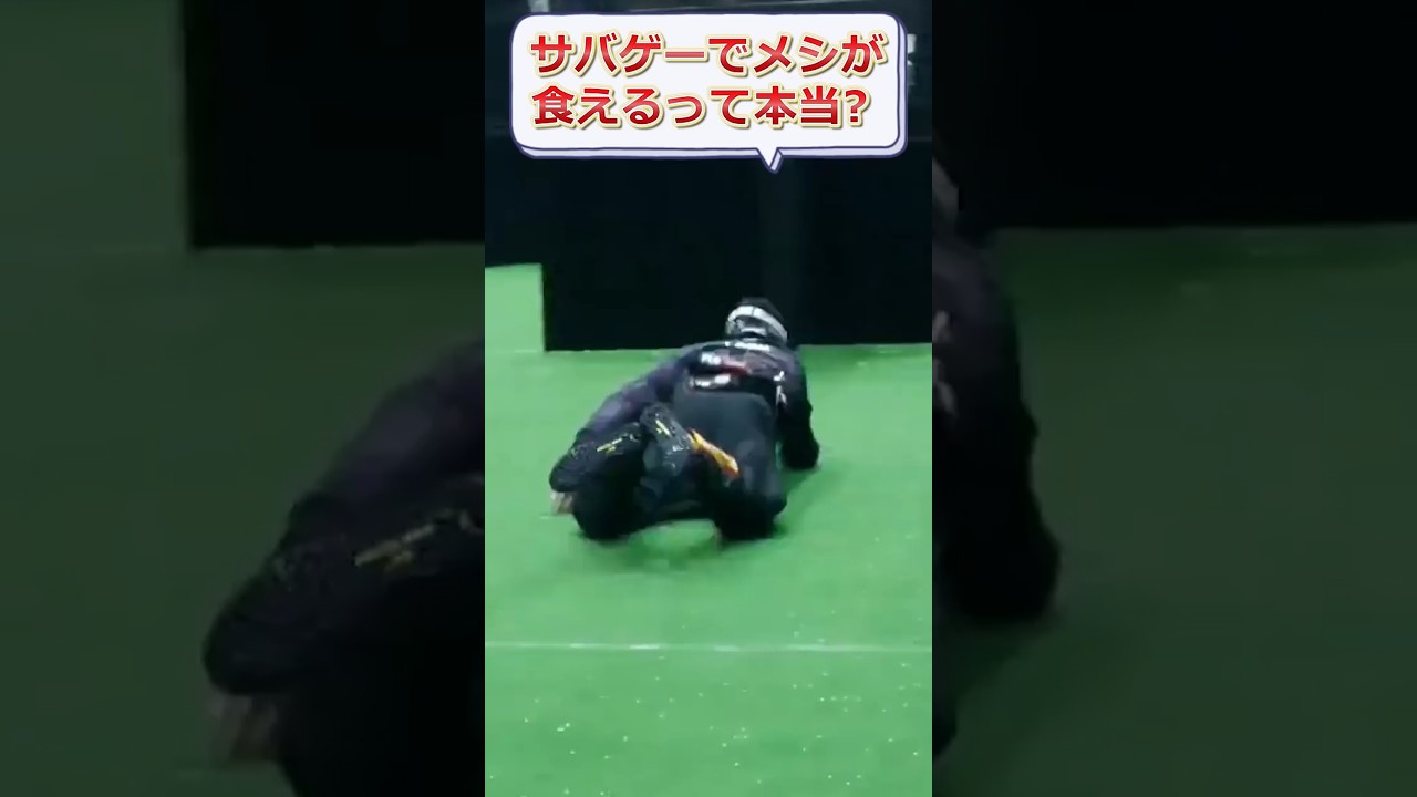 【総額４２００万】サバゲーの世界大会が開かれた「world airsoft games」