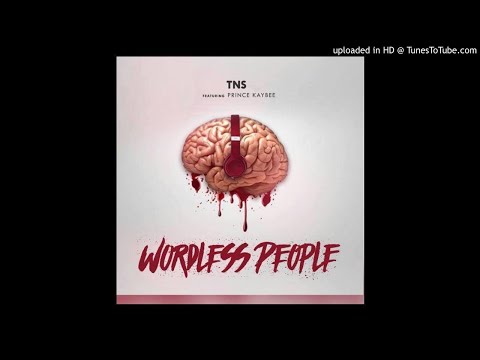 TNS ft Prince Kaybee - Wordless People